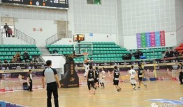 浙江篮球队爆料视频最新,揭秘球队备战与幕后故事